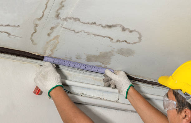 Reliable Mold Remediation contractor in Pine, AZ by Water Damage Irwin